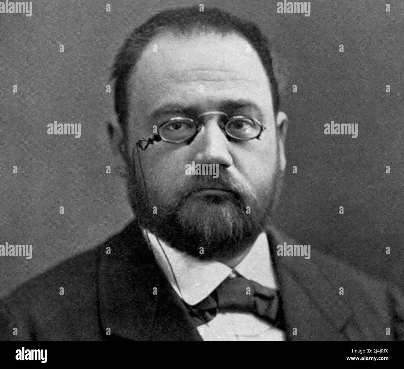 Il famoso autore francese Emile Zola Foto Stock