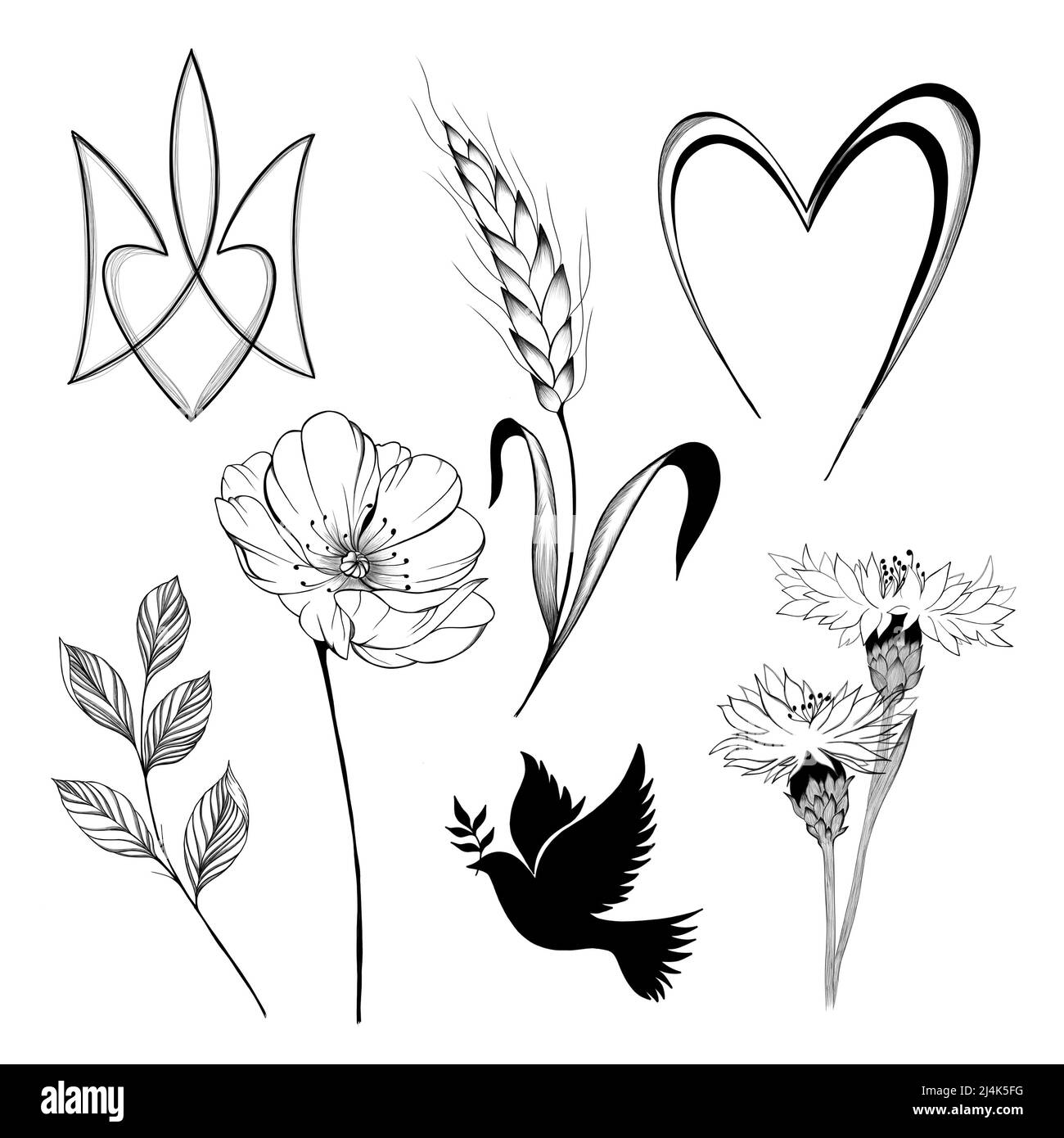 set di schizzi nazionali patriottici ucraini. Stemma ucraino, fiori selvatici e un orecchio di grano, colomba di pace Foto Stock