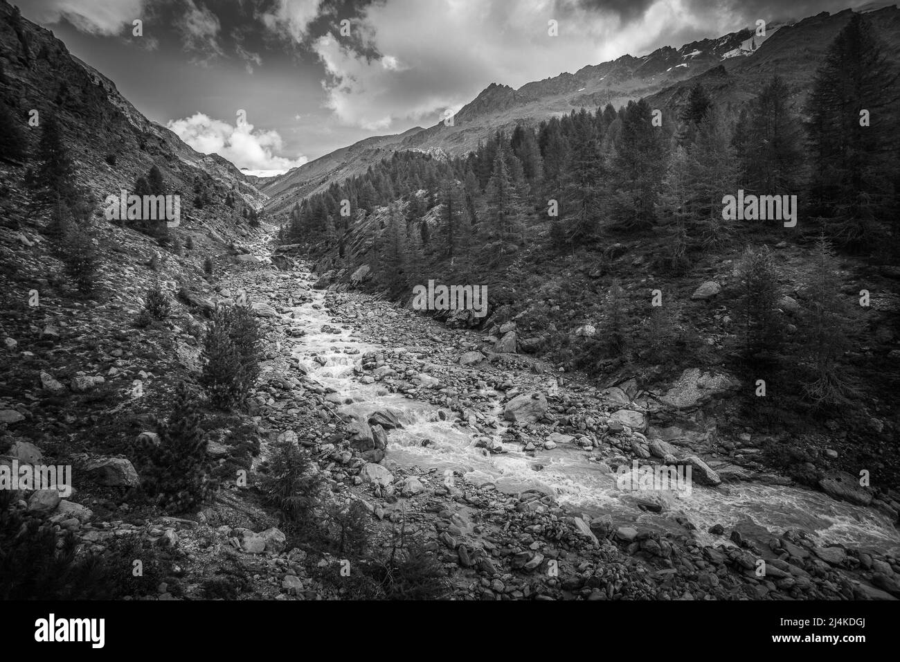 Effetto bianco e nero di impetuoso torrente in una valle alpina Foto Stock