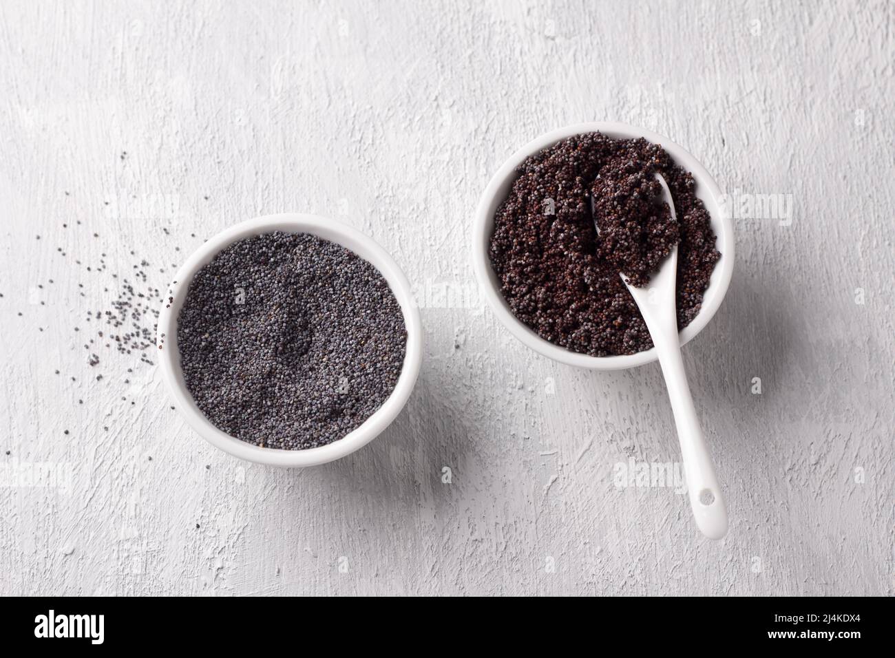 Ingredienti per il latte di papavero. Semi di papavero secchi e imbevuti su sfondo grigio chiaro con spazio libero Foto Stock