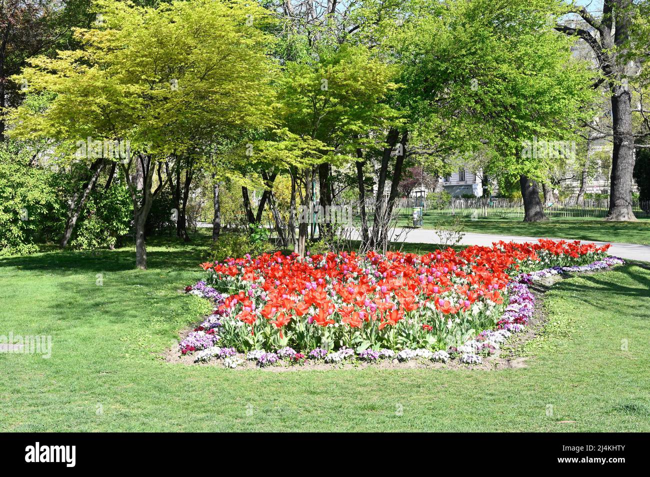 Vienna, Austria. Tulipani rossi (Tulipa) nel Parco del Municipio vicino al Municipio di Vienna Foto Stock