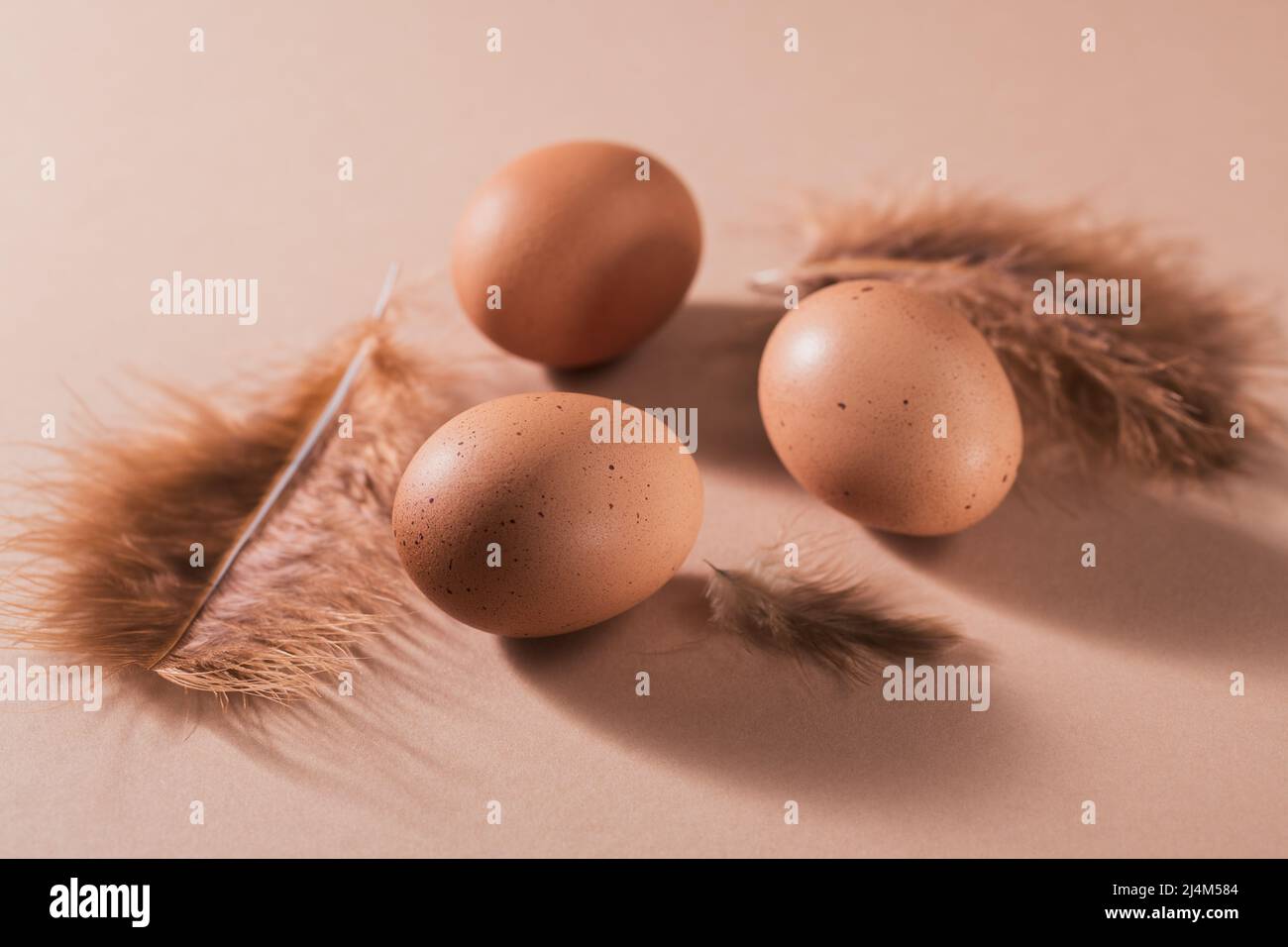 Uova di pollo marroni su sfondo beige. Foto Stock