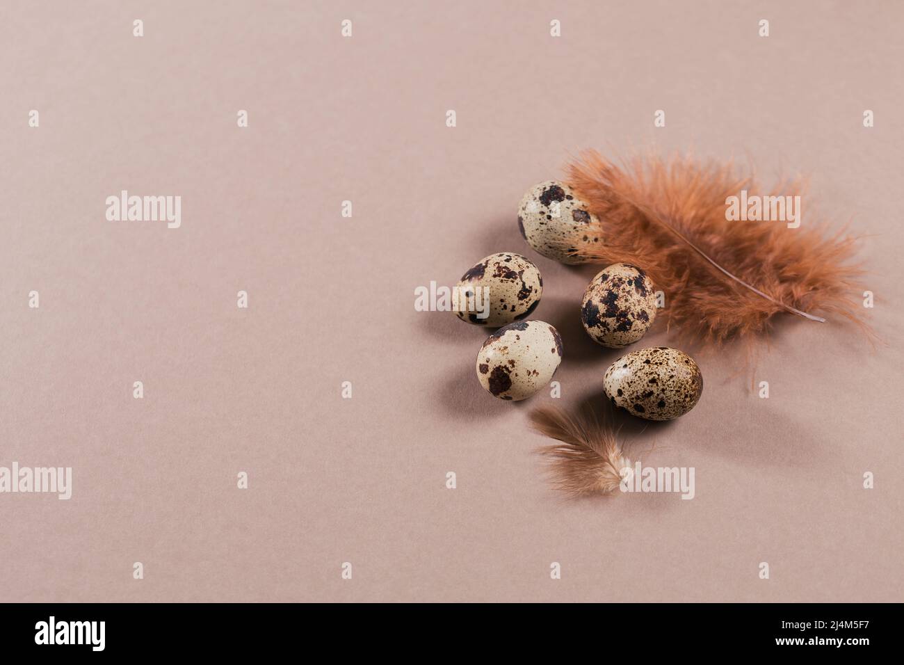 Sfondo pasquale con uova di colore naturale e piume marroni Foto Stock