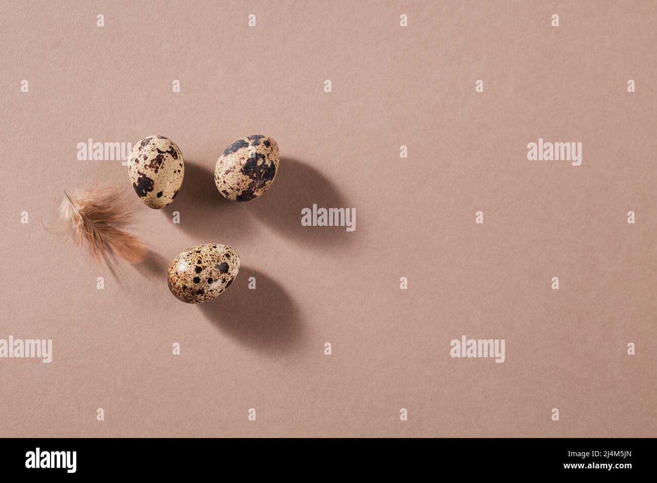 Sfondo pasquale con uova di colore naturale e piume marroni Foto Stock