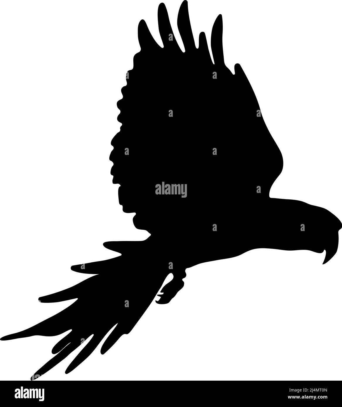 Silhouette nera di un pappagallo su sfondo bianco. Immagine vettoriale. Illustrazione Vettoriale