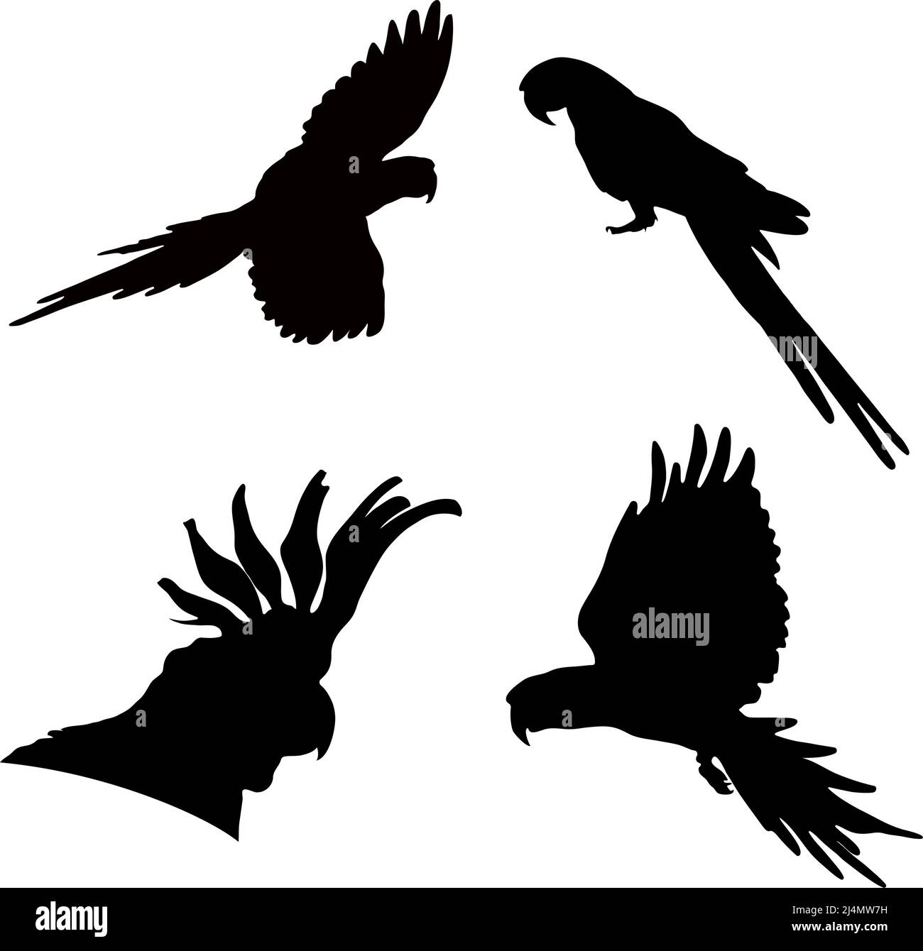 Silhouette nere di pappagalli su sfondo bianco. Immagine vettoriale. Illustrazione Vettoriale