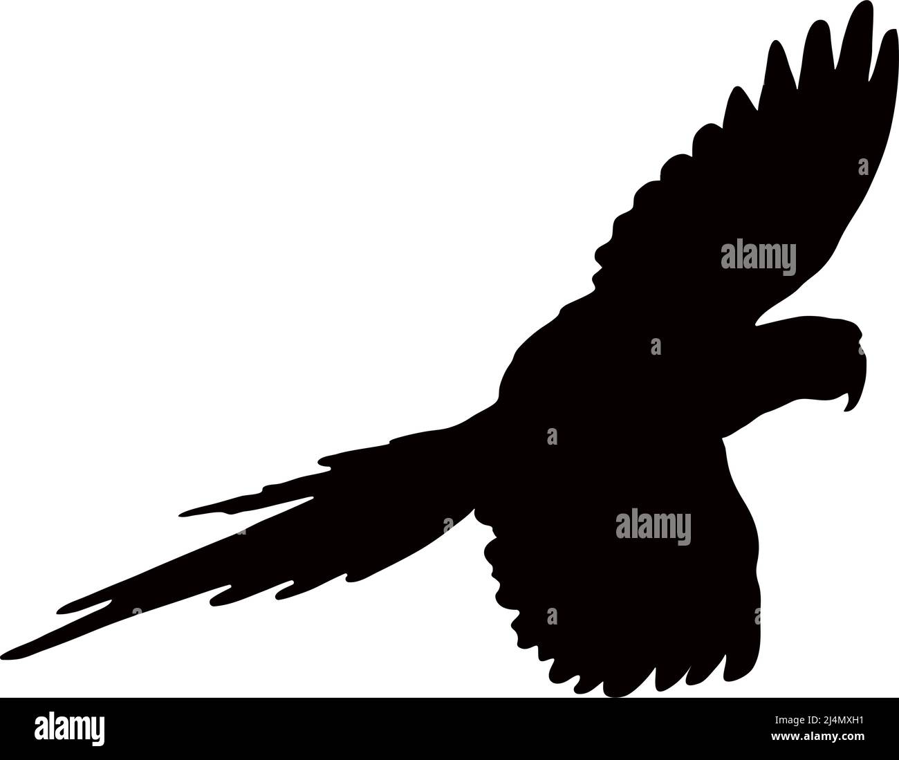 Silhouette nera di un pappagallo su sfondo bianco. Immagine vettoriale. Illustrazione Vettoriale