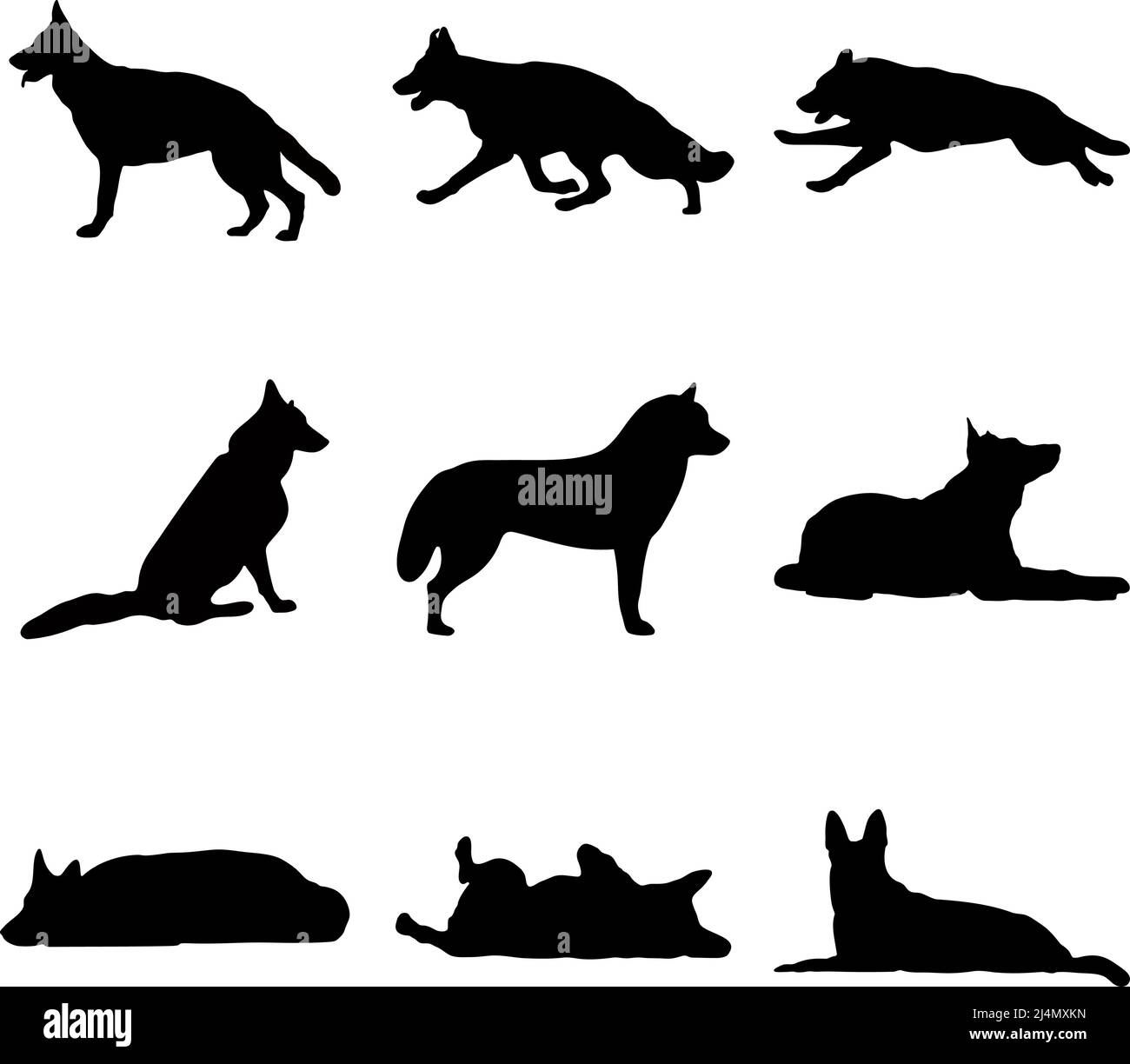 Silhouette nere di cani su sfondo bianco. Immagine vettoriale. Illustrazione Vettoriale