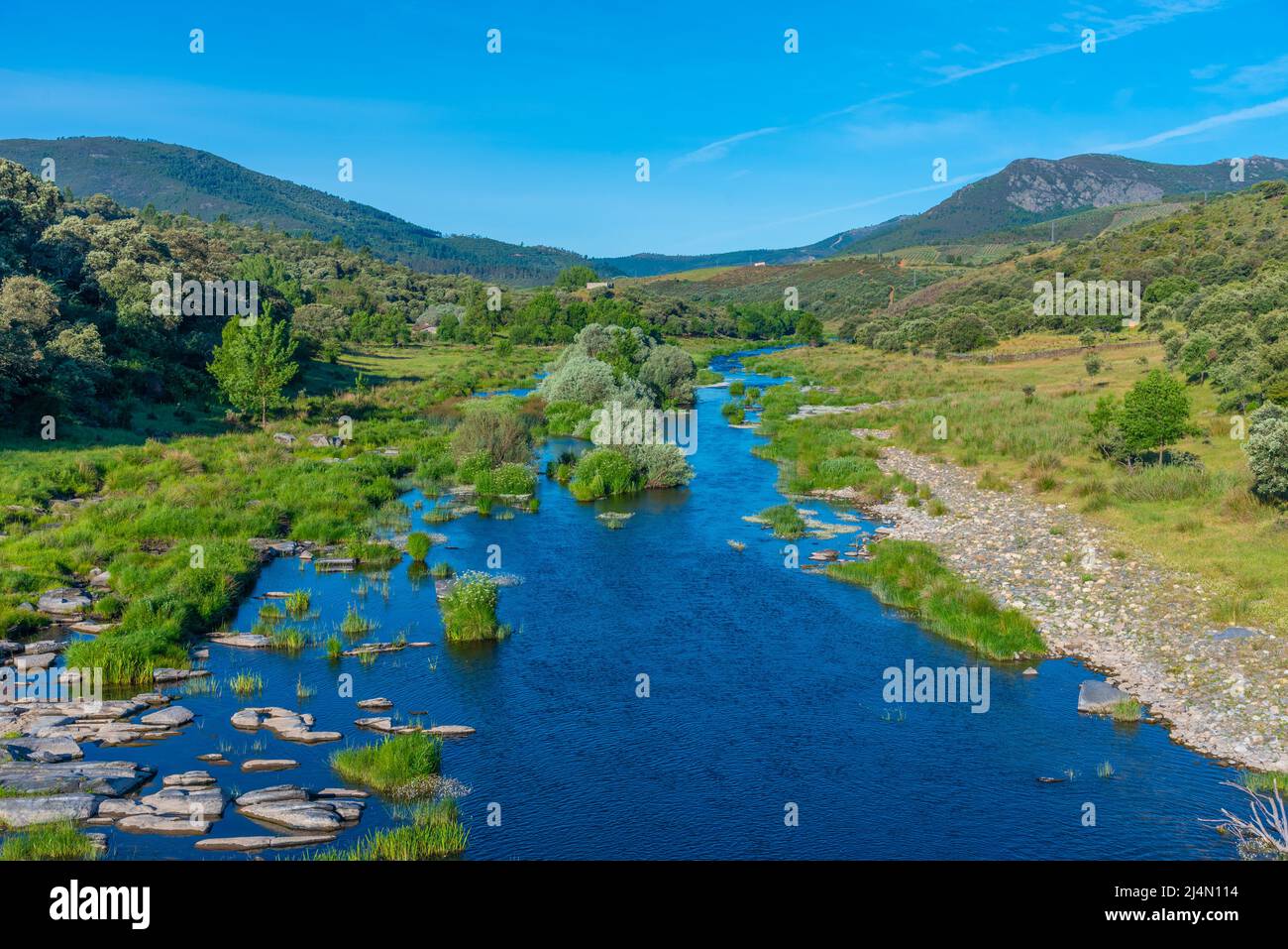 Paesaggio del fiume Alagon in Spagna Foto Stock