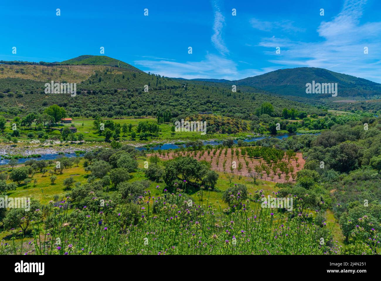 Paesaggio del fiume Alagon in Spagna Foto Stock