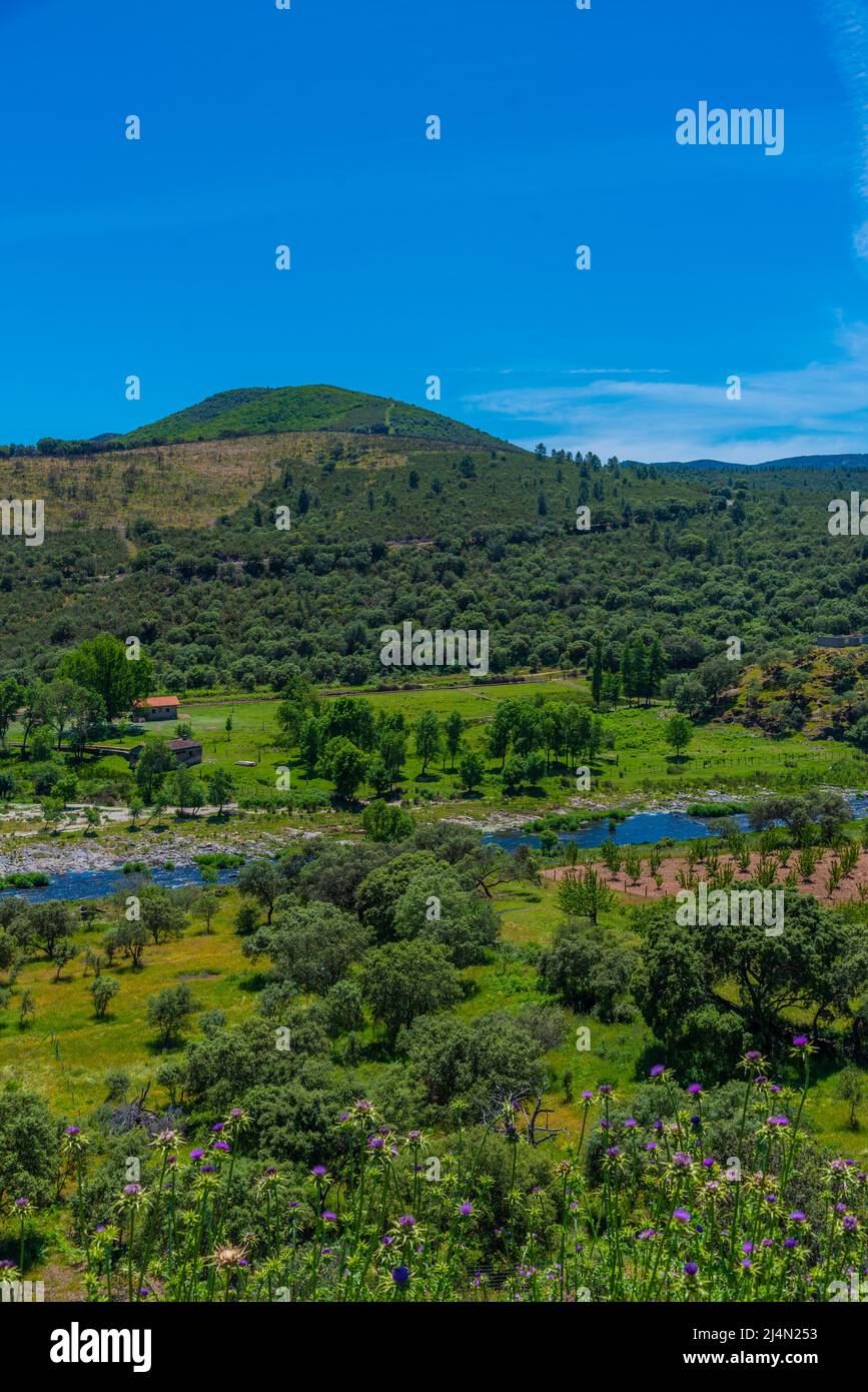 Paesaggio del fiume Alagon in Spagna Foto Stock
