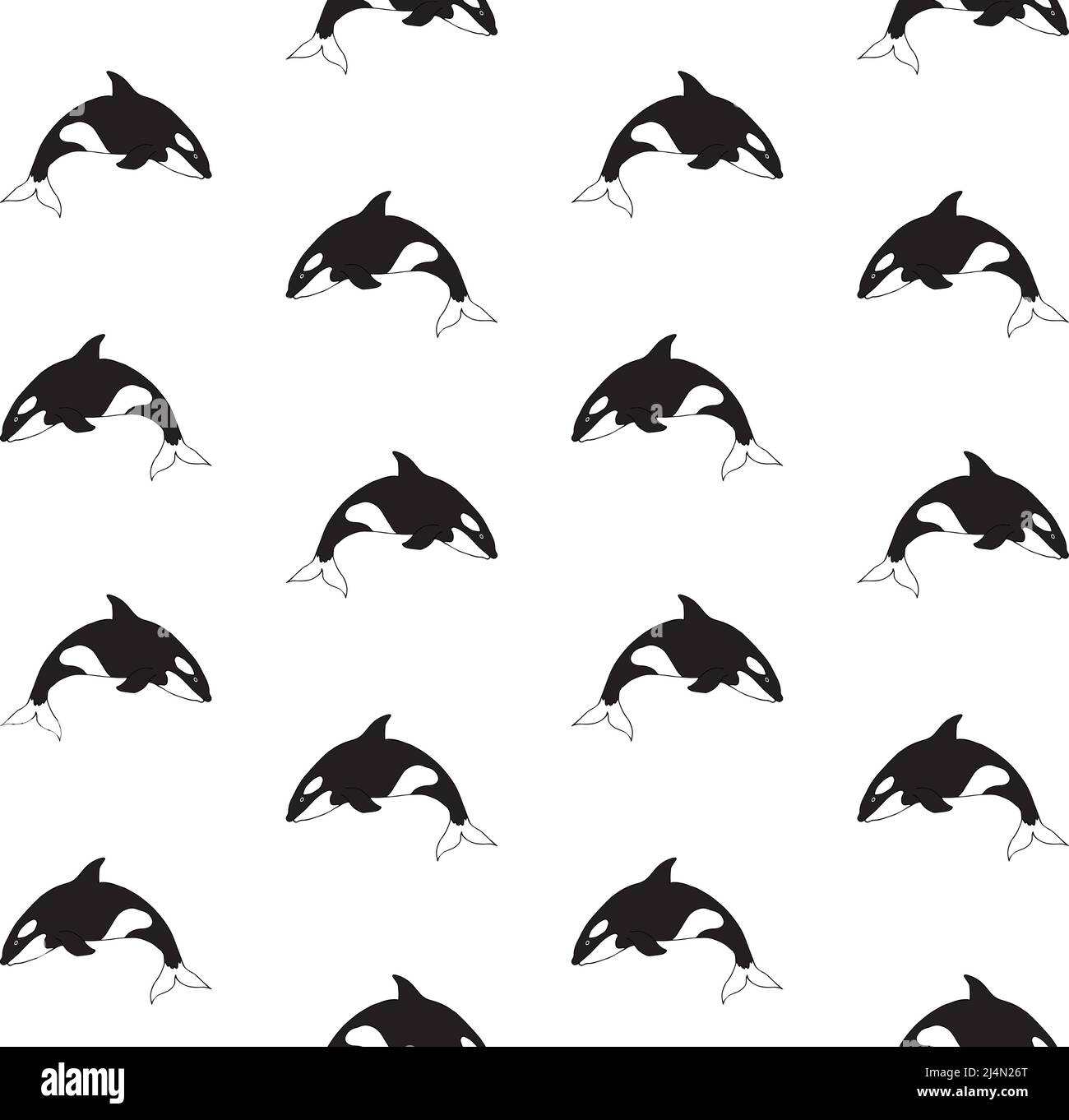 Vettore senza giunture modello di boodle disegno a mano killer balena isolato su sfondo bianco Illustrazione Vettoriale