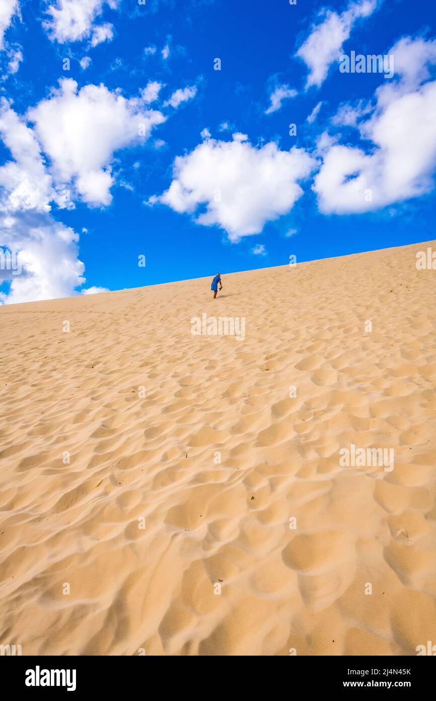 Una donna sale la ripida duna di sabbia sull'Hammerstone Sandblow lontano dal lago Wabby su Fraser Island, Queensland, Australia. Foto Stock