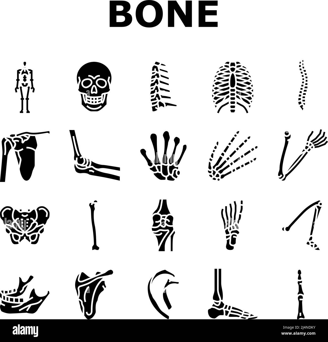 Bone Human Skeleton Structure Icons Set Vector (Imposta vettore struttura scheletro umano osseo) Illustrazione Vettoriale