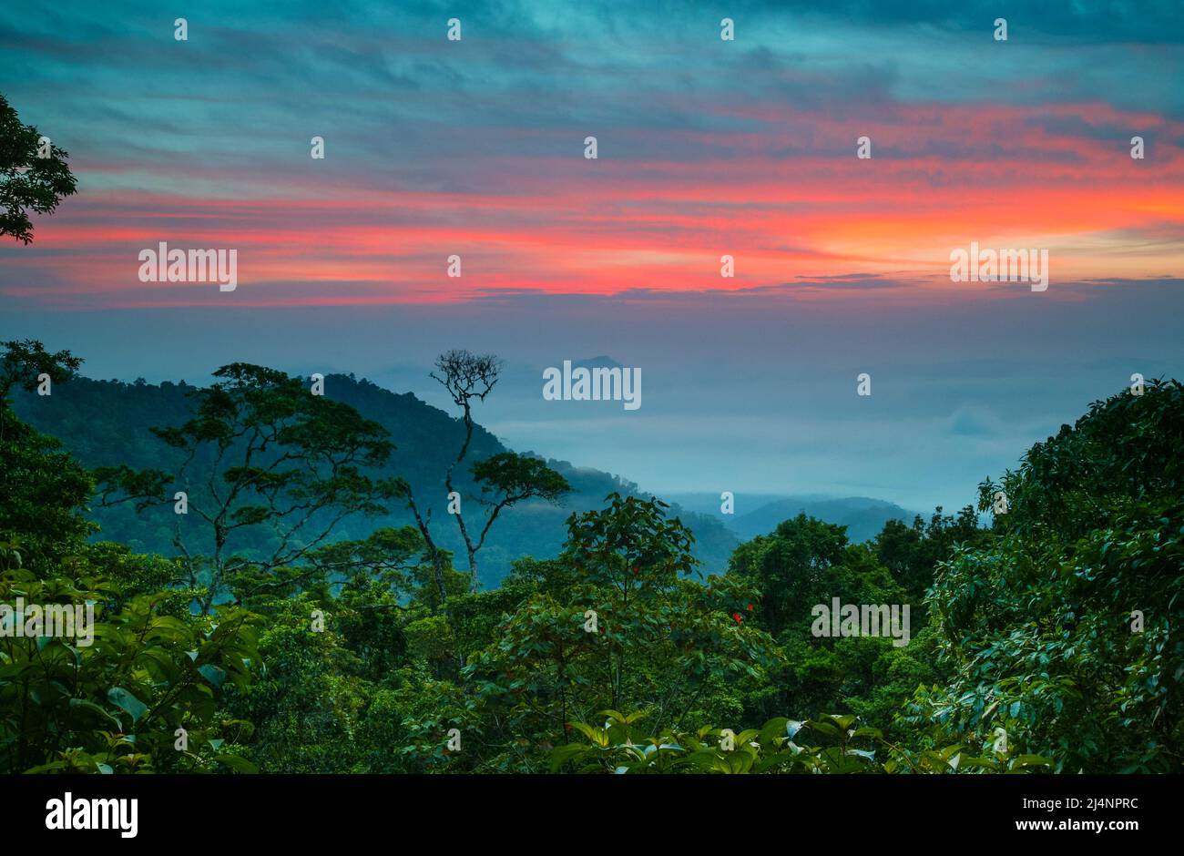 Paesaggio di Panama con cieli colorati all'alba nella foresta pluviale di Cerro Pirre, parco nazionale di Darien, provincia di Darien, Repubblica di Panama. Foto Stock