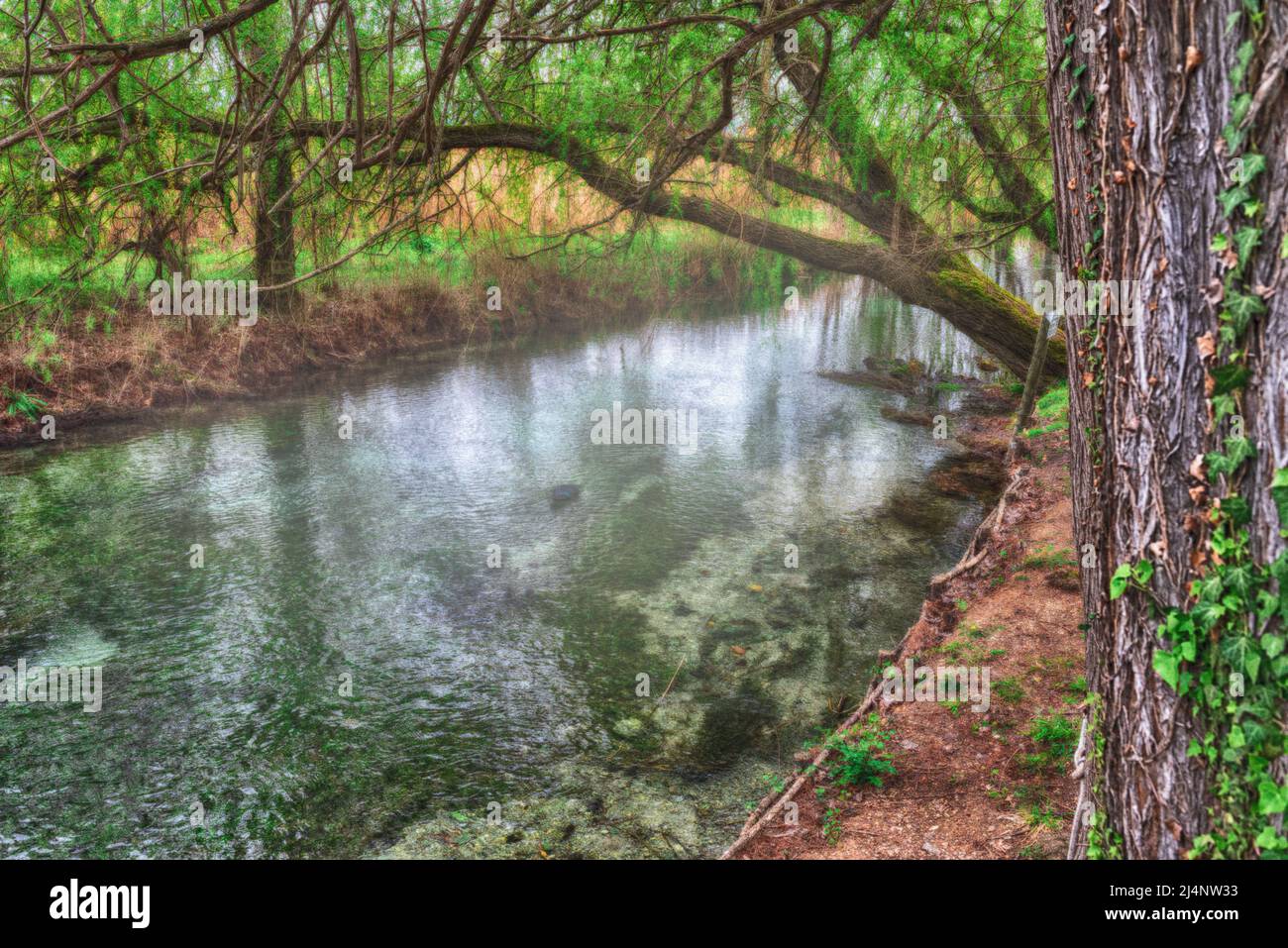 Clitumnus Springs Foto Stock