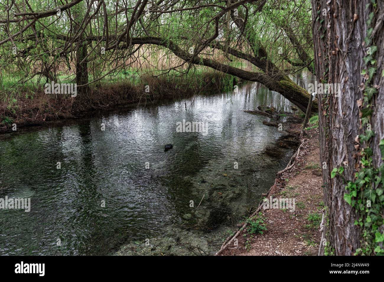 Clitumnus Springs Foto Stock