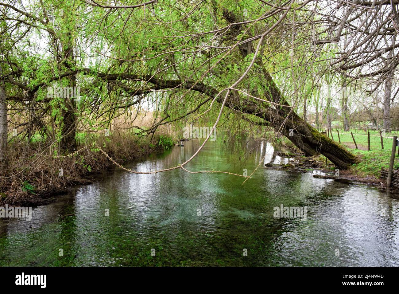 Clitumnus Springs Foto Stock