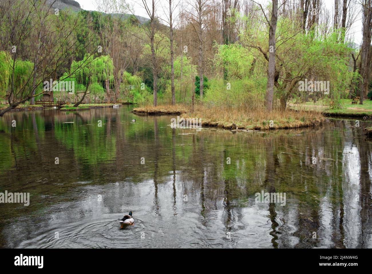 Clitumnus Springs Foto Stock