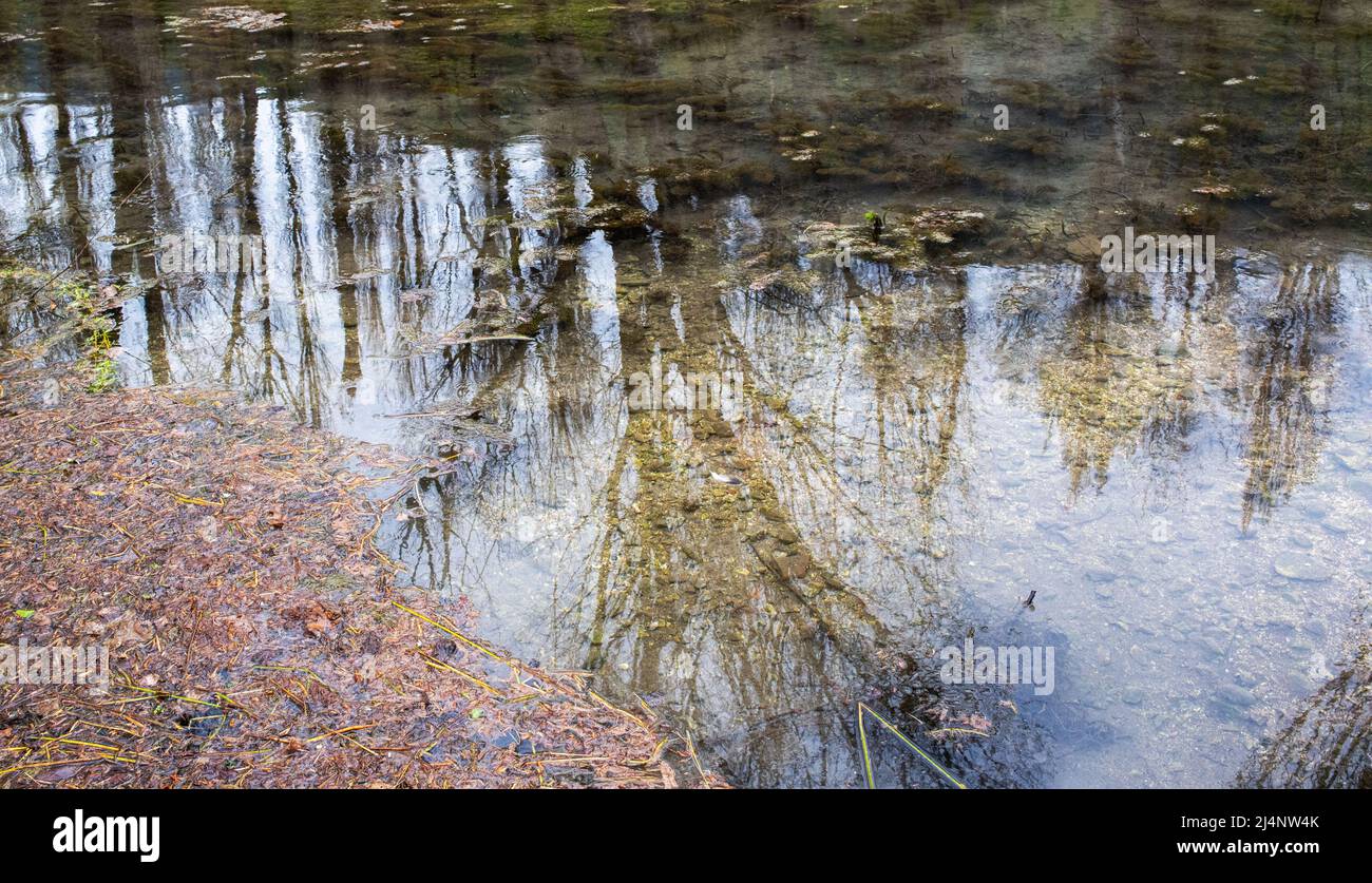Clitumnus Springs Foto Stock