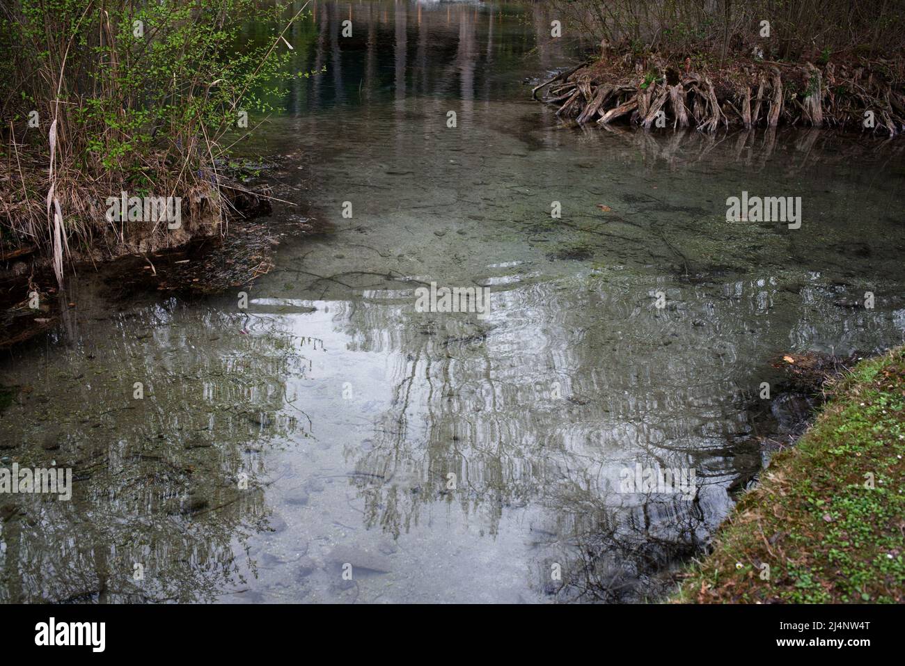 Clitumnus Springs Foto Stock