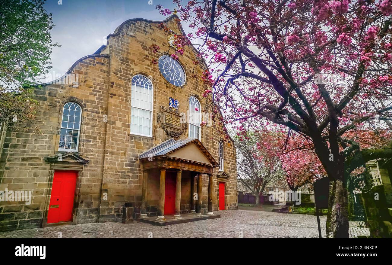 Canongate Kirk, Canongate, Royal Mile, Edimburgo, Regno Unito. 16th Apr 2022. REGNO UNITO. Meteo. A la ciliegia rosa fiorisce alle porte d'ingresso di Canongate Kiek sul EdinburghÕs Royal Mile. La Kirk of the Canongate, o Canongate Kirk, serve la Parrocchia di Canongate nel centro storico di Edimburgo, in Scozia. È una congregazione della Chiesa di Scozia. La parrocchia comprende il Palazzo di Holyroodhouse e il Parlamento scozzese. Credit: phil wilkinson/Alamy Live News Foto Stock