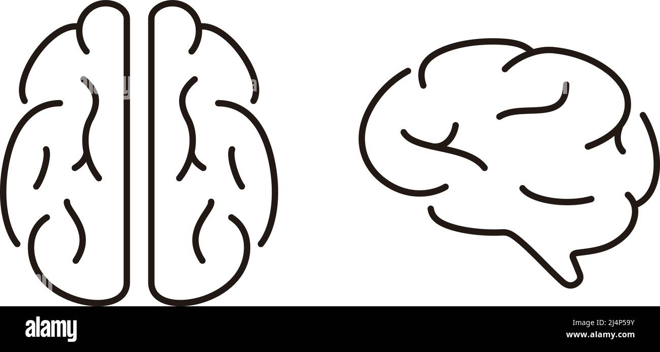 Icona piatta del cervello dell'organo umano, illustrazione vettoriale Illustrazione Vettoriale
