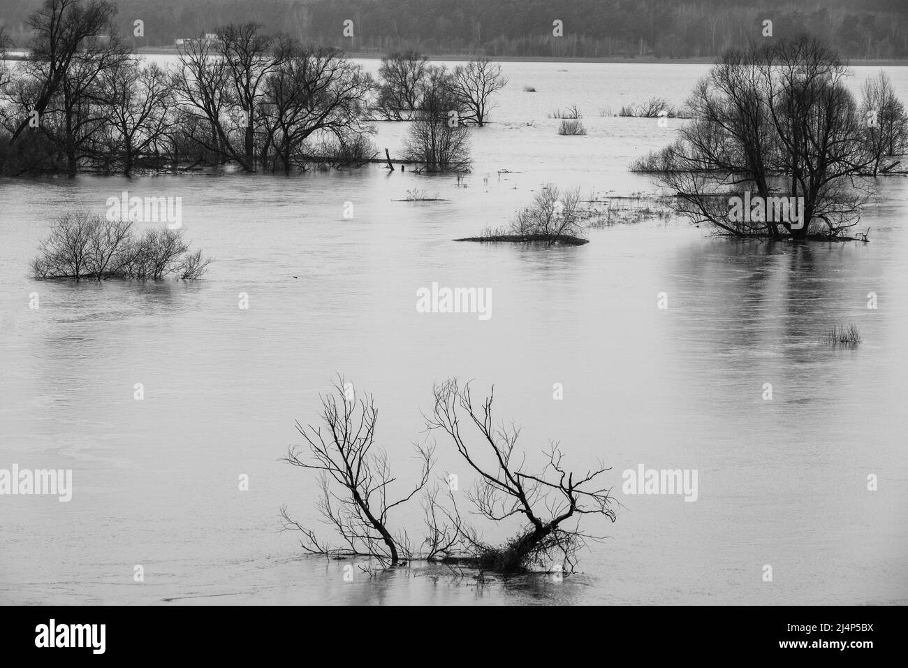 Il fiume Protva alluvione a Drakino vicino alla confluenza con il fiume Oka Foto Stock