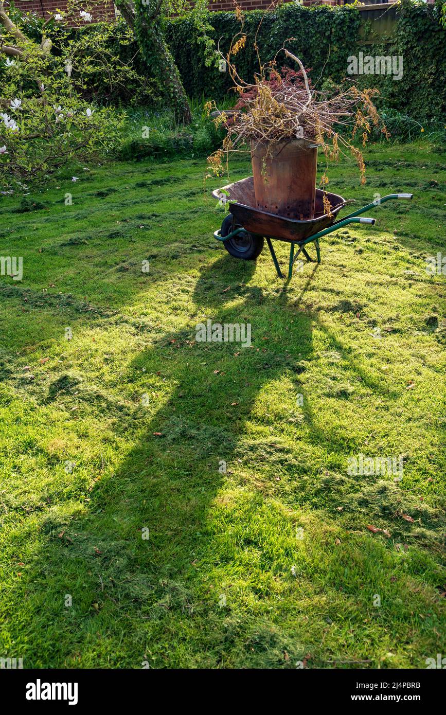 Carriola da giardino con inceneritore nel suo secchio in primavera sole. Foto Stock