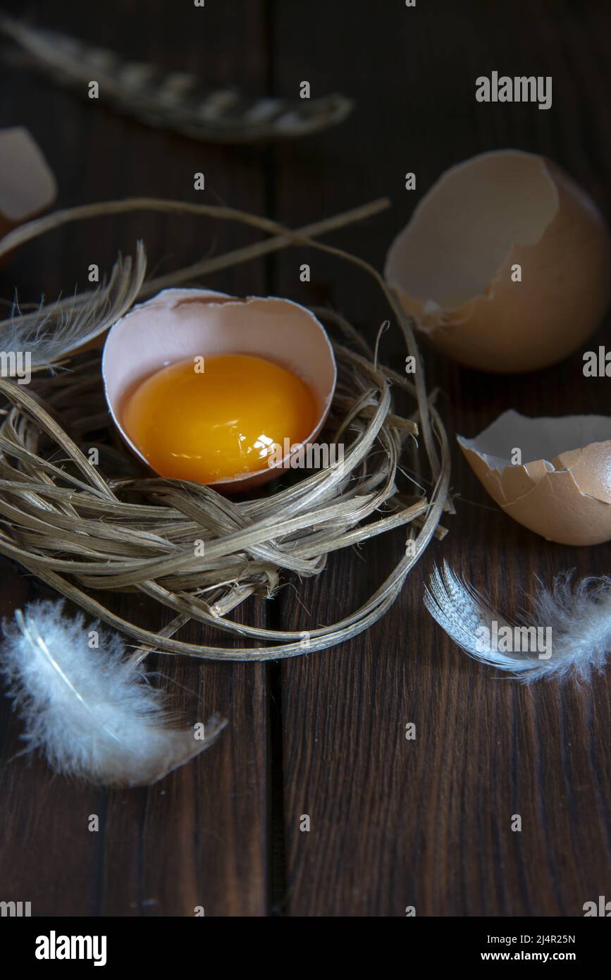 Un uovo rotto in un nido di erba secca, gusci di uovo e piume di uccello accanto l'uno all'altro su un piano di legno. Foto Stock