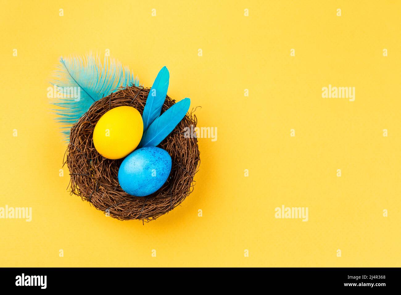 Buona Pasqua biglietto di auguri in blu e giallo. Uova di Pasqua nel nido con decorazione delle piume Foto Stock