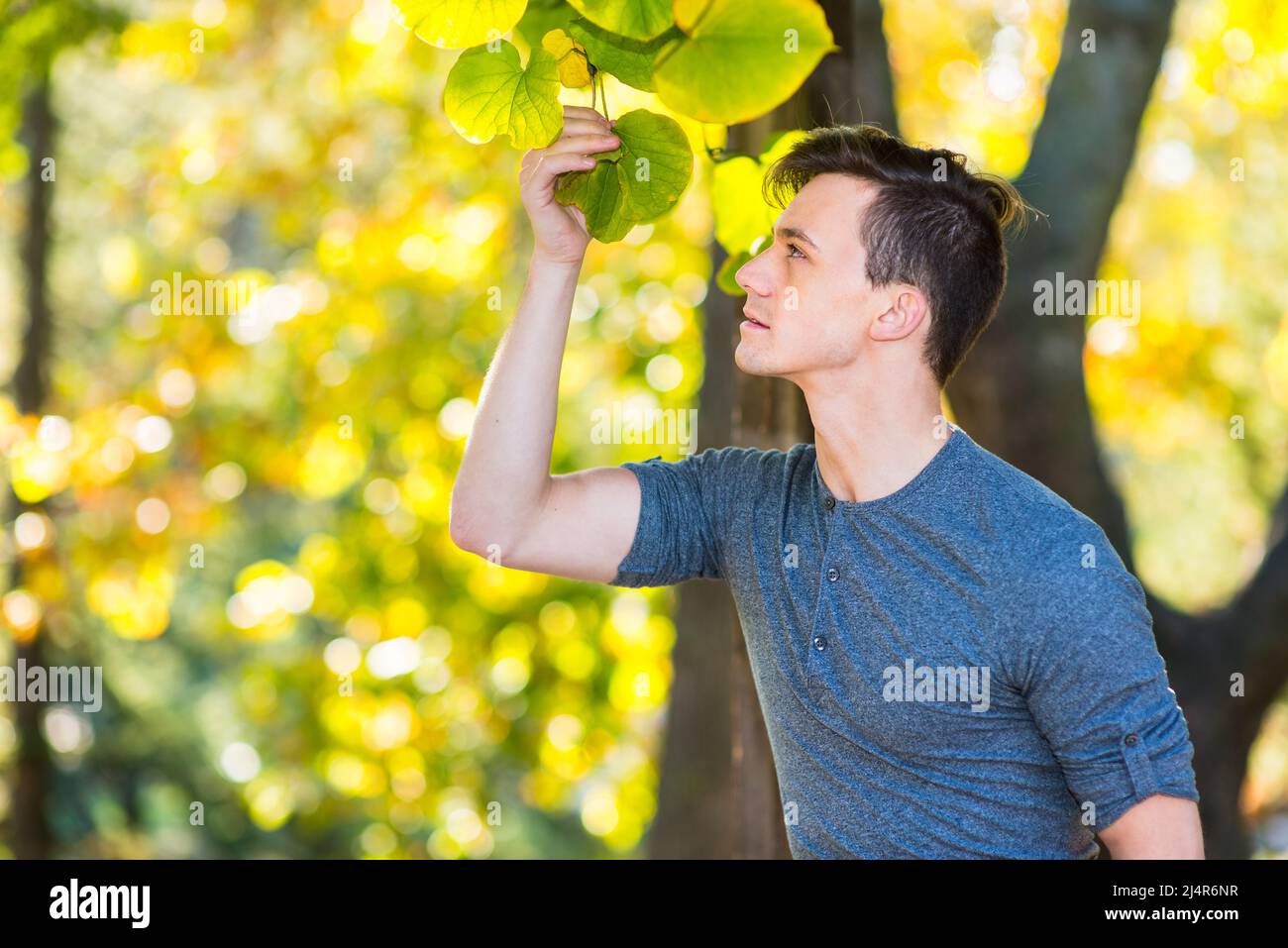 Un ragazzo giovane e bello sta guardando le foglie in un pomeriggio d'oro d'autunno. Foto Stock