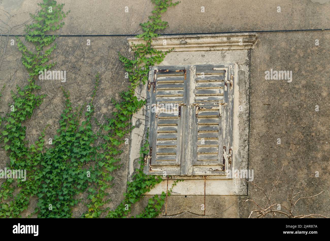 Finestra vintage chiusa di una vecchia casa costiera con verde mediterraneo Foto Stock