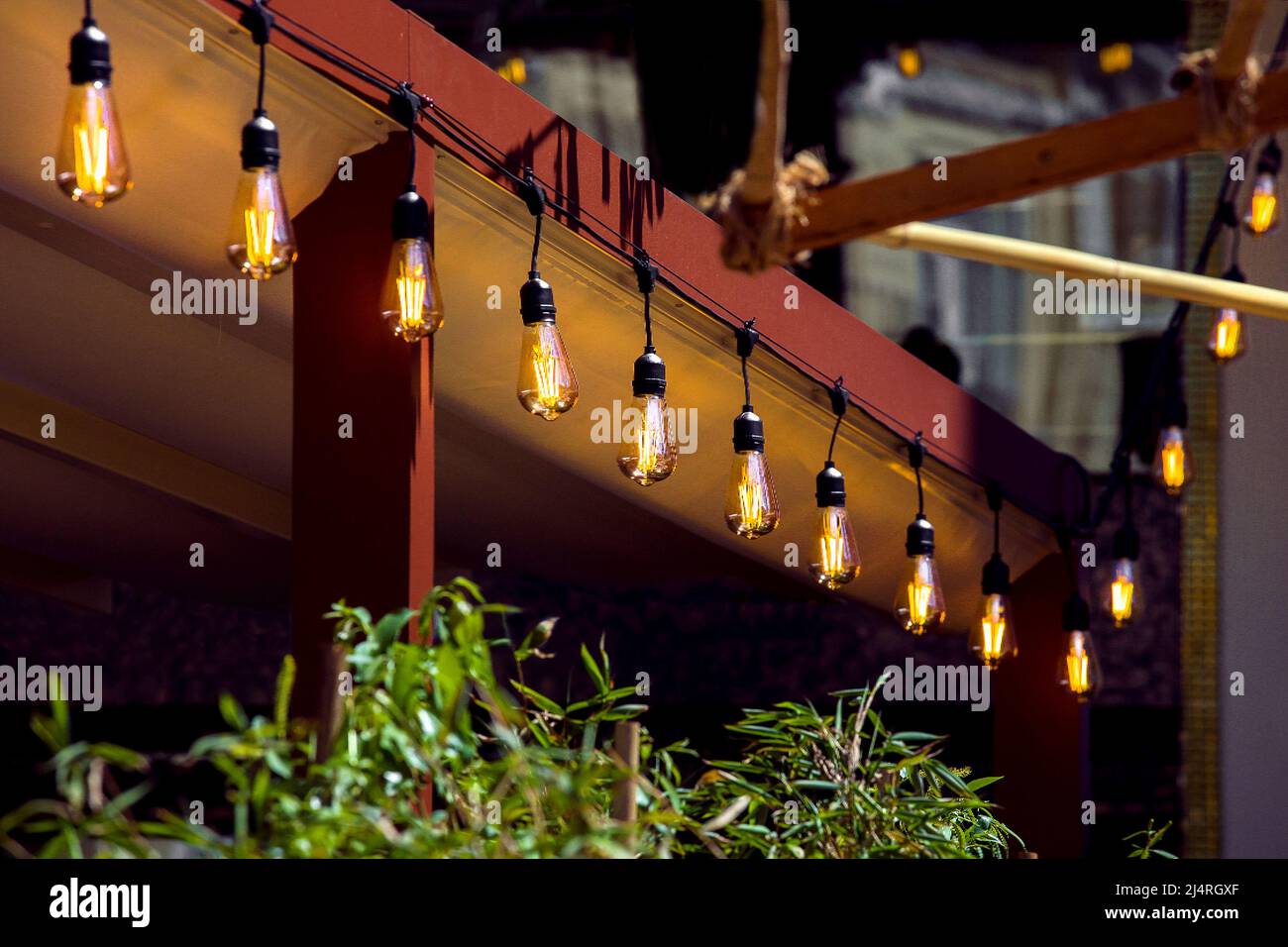 tenda in gazebo cortile con un bulbi luce garland di corde di lampade retrò edison che illuminano luce calda con foglie verdi di fiori su su su Foto Stock