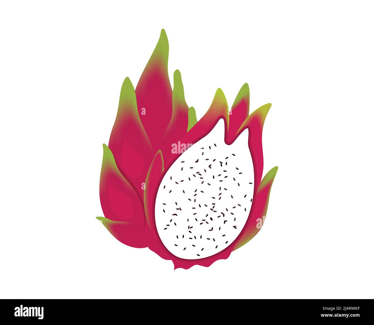 Illustrazione dettagliata di Dragon Fruit Vector Illustrazione Vettoriale