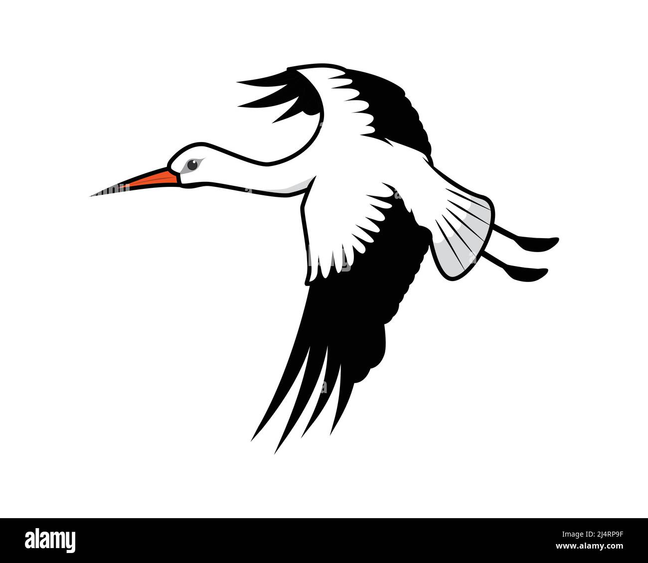 Vettore di illustrazione Flying Stork dettagliato Illustrazione Vettoriale