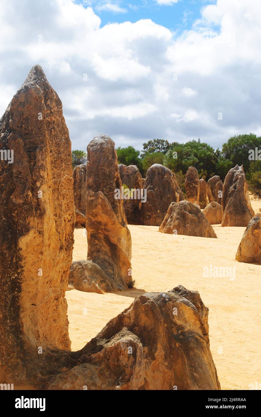 I pinnacoli, Nambung National Park, Australia Foto Stock