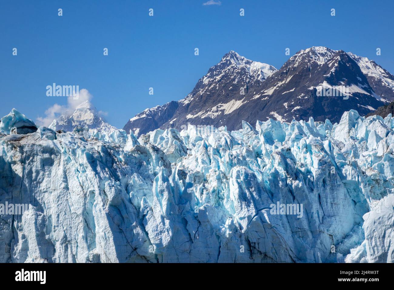 Il Grand Pacific Glacier Ice Face in Tarr Inlet Glacier Bay Alaska Foto Stock
