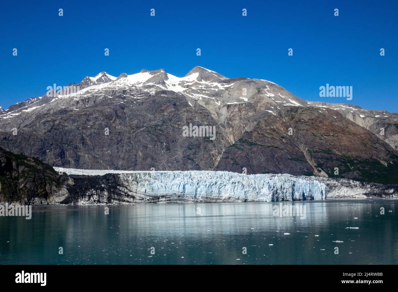 Il Grand Pacific Glacier Terminus in Tarr Inlet Glacier Bay Alaska Foto Stock