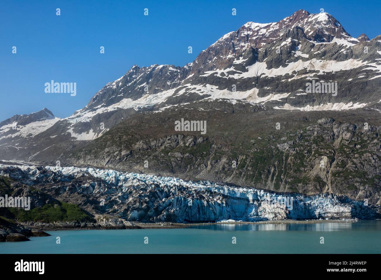 Il ghiacciaio Johns Hopkins Tidewater in Glacier Bay Alaska Foto Stock