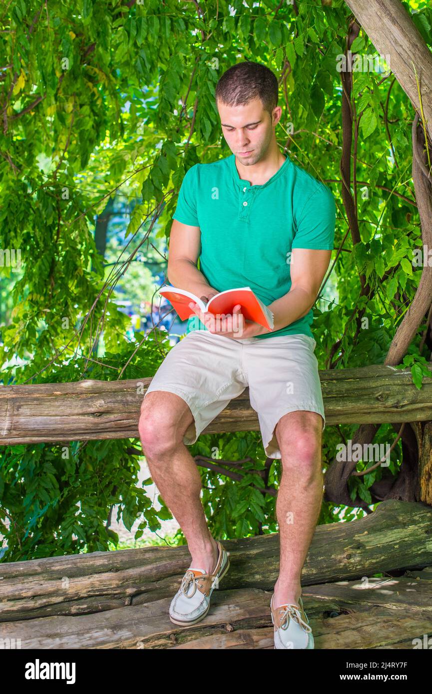 Giovane uomo americano che legge libro rosso fuori, che indossa camicia verde a manica corta Henley, pantaloncini gialli chiari, scarpe casual in pelle, seduto sul tronco dell'albero Foto Stock
