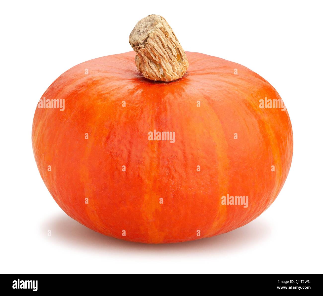 percorso di squash rosso kuri isolato su bianco Foto Stock