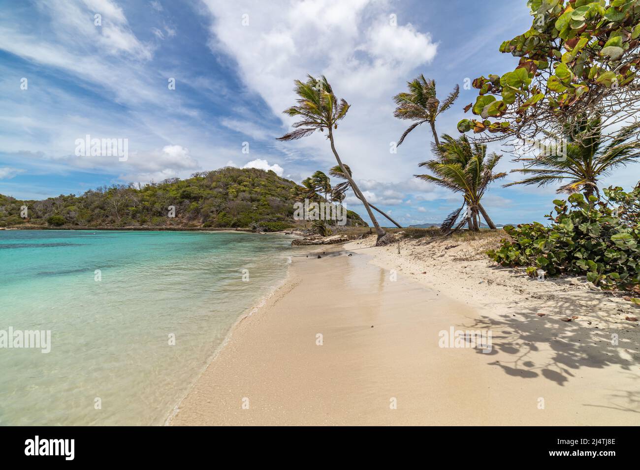 Saint Vincent e Grenadine, Mayreau, Salt Whistle Bay Foto Stock