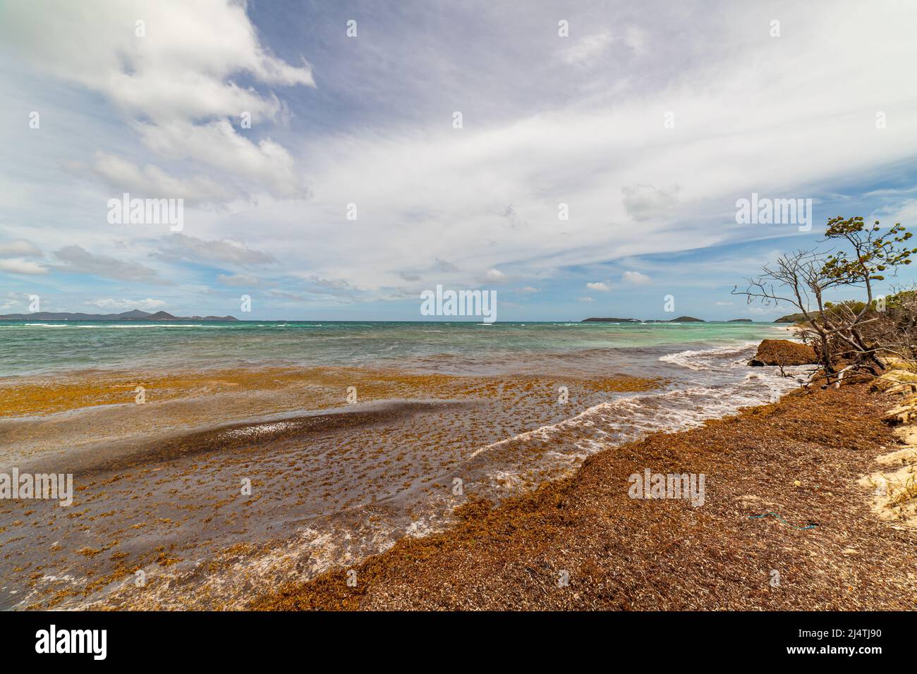 Saint Vincent e Grenadine, Mayreau, Salt Whistle Bay Foto Stock