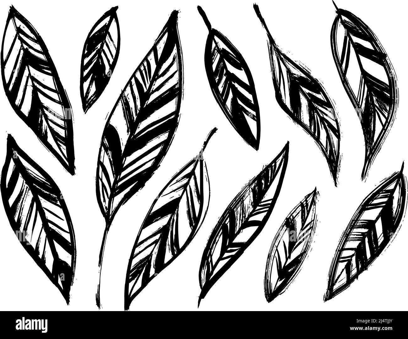 Set vettoriale di foglie decorative nere disegnate a mano. Illustrazione Vettoriale