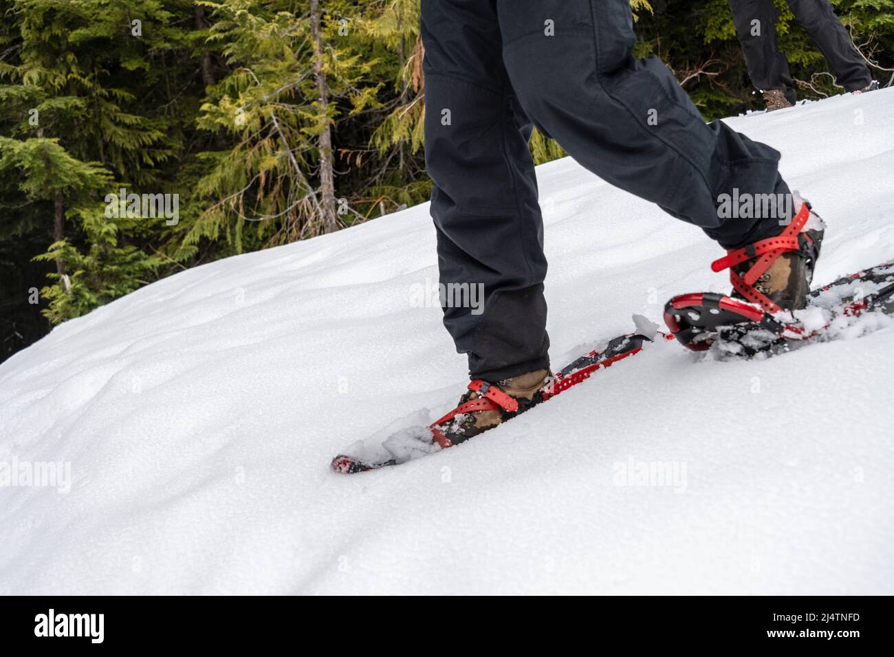 escursionista con racchette da neve Foto Stock