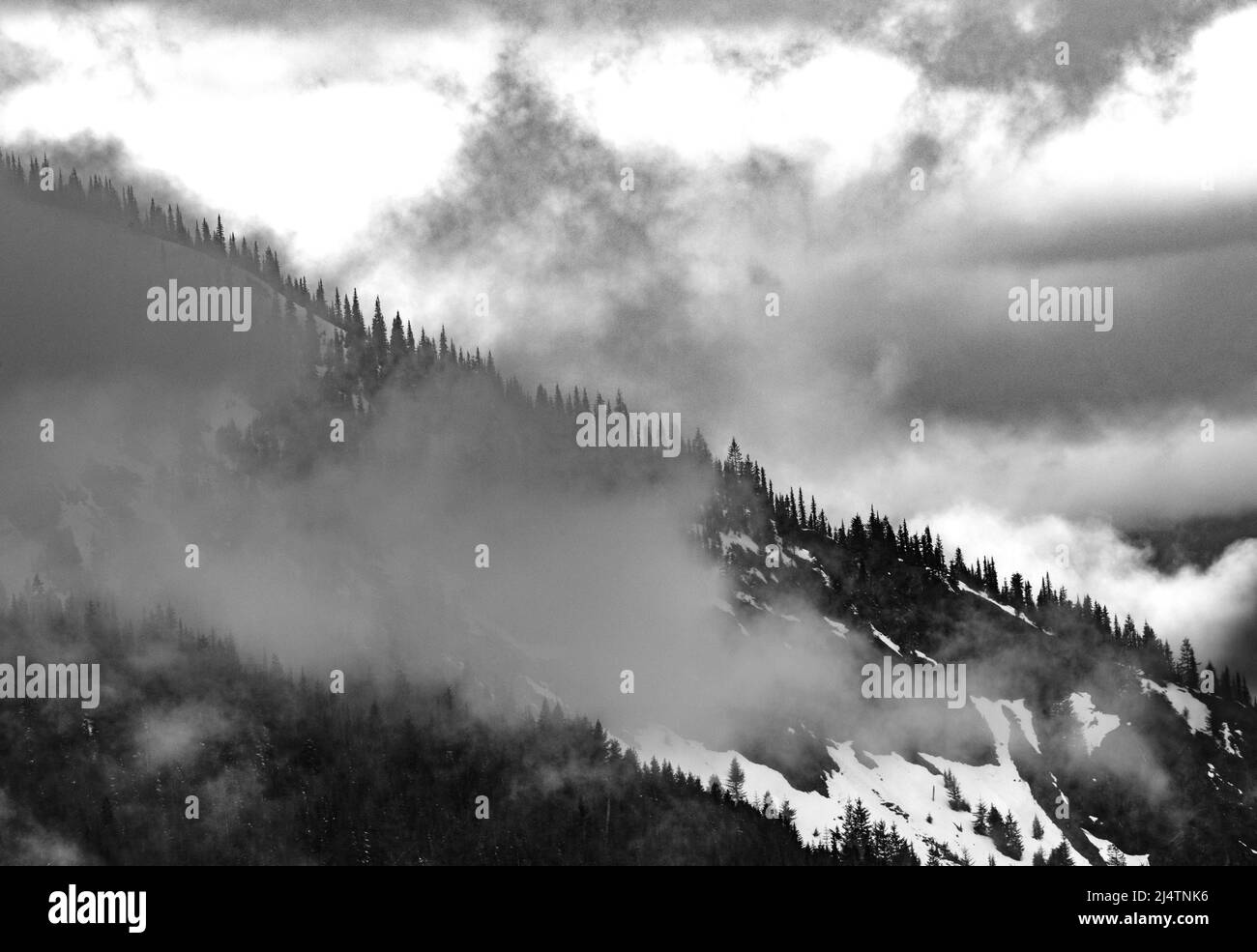Scena della neve nelle montagne Cascade del Pacifico nord-occidentale Foto Stock