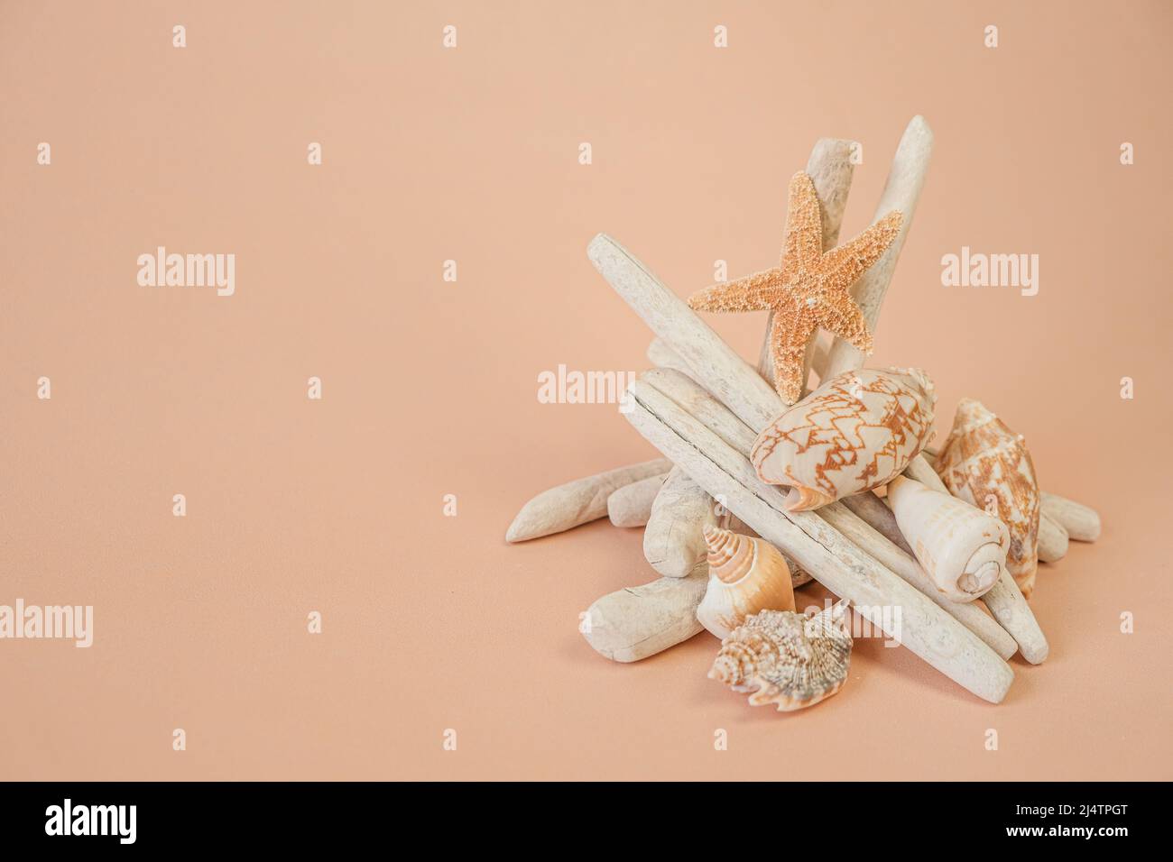 driftwood background.Driftwood bastoni, stelle marine e rete di pesca bianca su sfondo crema.decorazione in legno naturale in uno stile nautico. Foto Stock