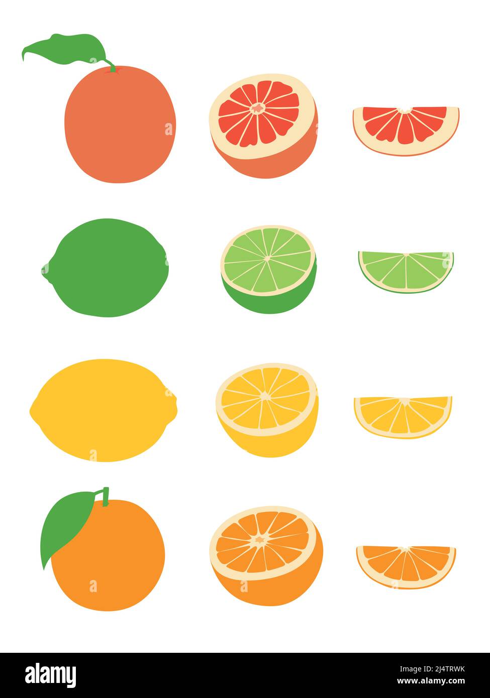 Raccolta di vari agrumi disegnati a mano, di colore piatto, isolati su sfondo bianco. Illustrazione Vettoriale