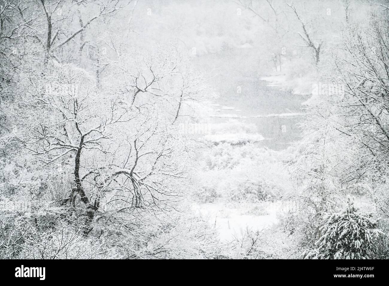 Un piccolo fiume si snodano durante una tempesta di neve in Vermont, New England, USA. Foto Stock